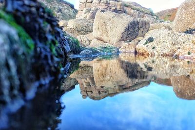 Reflection of trees on rocky shore against sky