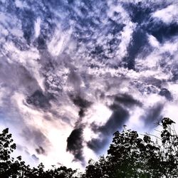 Low angle view of silhouette trees against sky