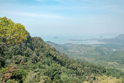 High angle view of trees on landscape against sky