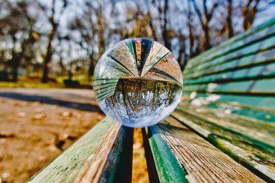 Close-up of crystal ball on tree against sky