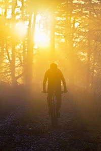 Man riding a mountain bike in a forest at sunrise or sunset - back light