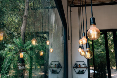 Illuminated light bulbs hanging from window