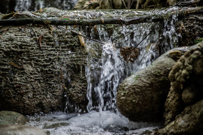 Scenic view of waterfall in forest
