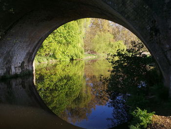 Reflection of trees in tunnel