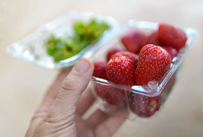 Close-up of hand holding strawberries