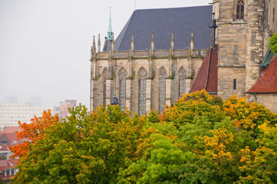 Trees in city against sky