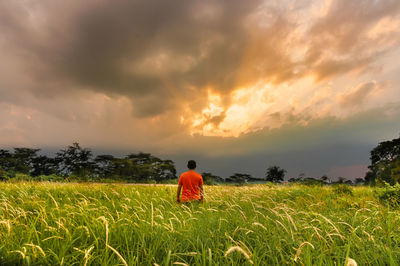 Rear view of agricultural field against sky during sunset