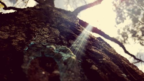 Low angle view of rocks