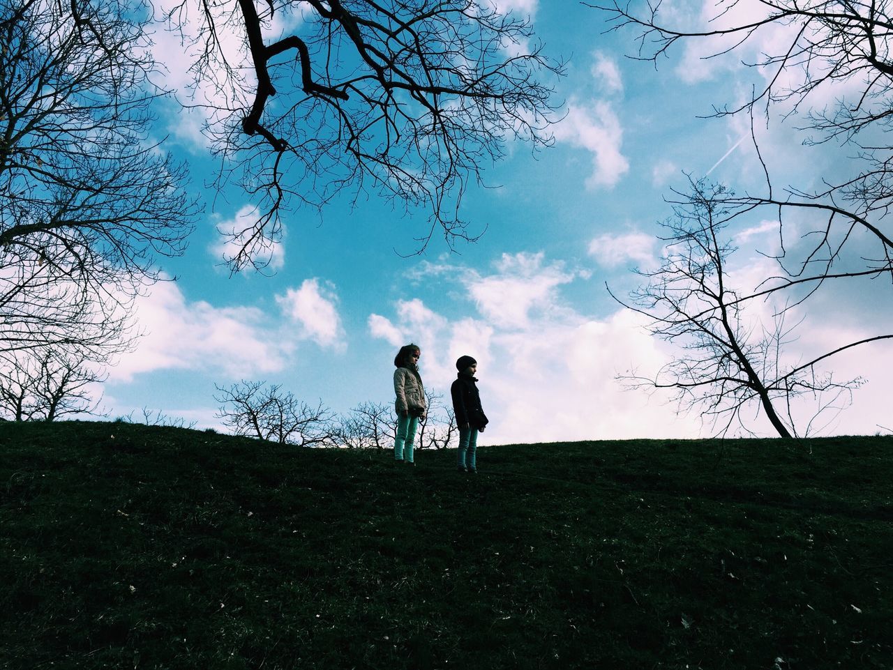 sky, grass, full length, lifestyles, leisure activity, field, tree, childhood, cloud - sky, boys, men, togetherness, tranquility, landscape, nature, cloud, tranquil scene