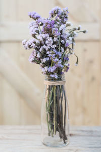 Close-up of flower pot on table