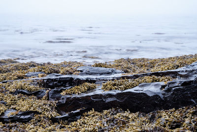 Close-up of rocks on beach