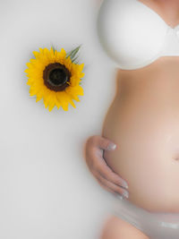 Midsection of pregnant woman with hand on abdomen by sunflower