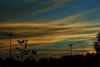 Low angle view of silhouette trees against orange sky