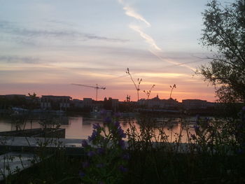 Reflection of clouds in water at sunset