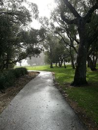 Road amidst trees in park