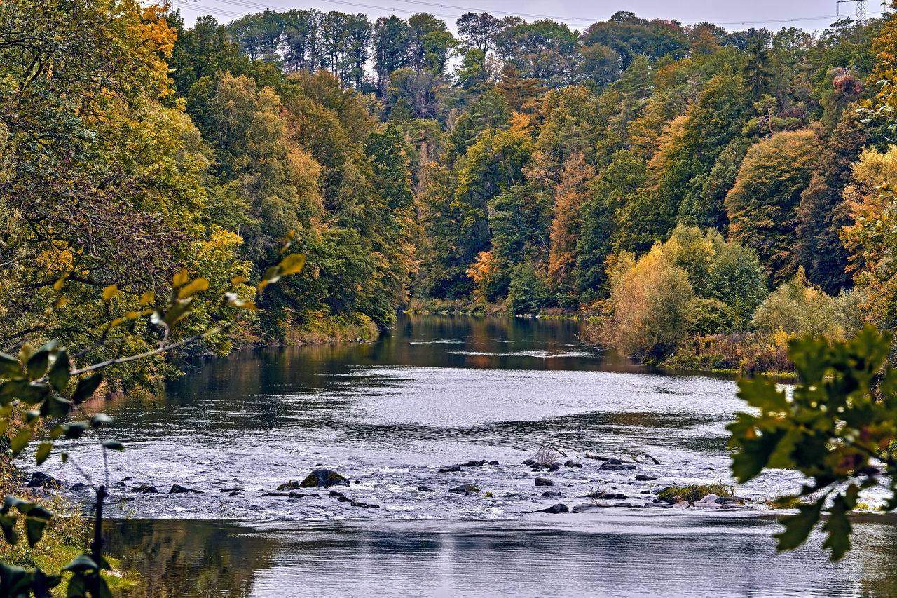 SCENIC VIEW OF LAKE DURING AUTUMN