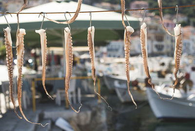 Close-up of hanging for sale in market