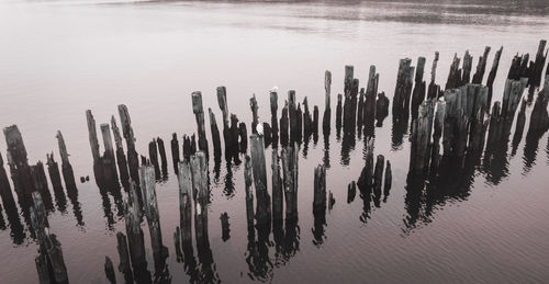 High angle view of wooden posts in lake