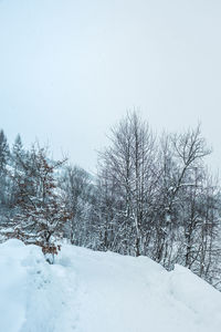 Bare trees on snow covered field against sky
