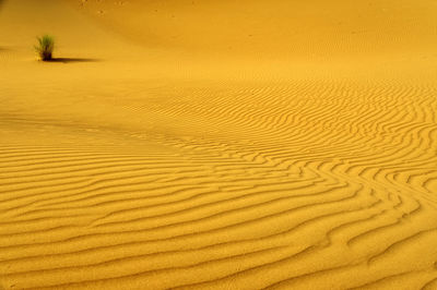 Full frame shot of sand dune