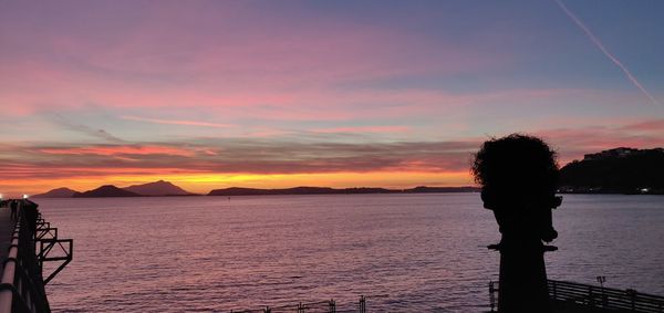 Silhouette tree by sea against sky during sunset