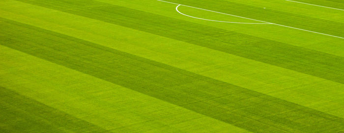 Full frame shot of green grass