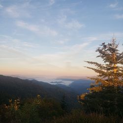 Smokey mountain sunrise