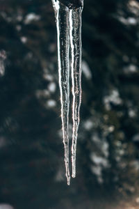 Close-up of ice crystals against blurred background