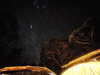 Low angle view of illuminated trees against sky at night