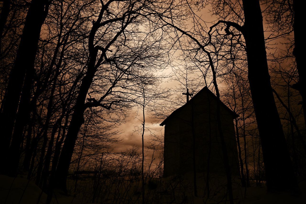 SILHOUETTE OF BARE TREES AND BUILDINGS AT SUNSET