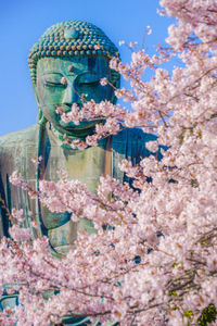 Low angle view of cherry blossom against sky