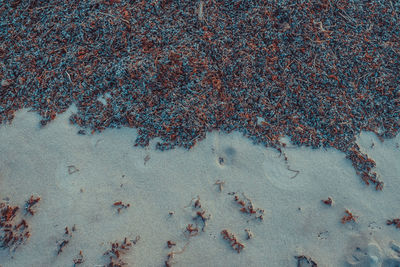 High angle view of sand on beach