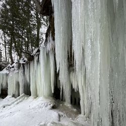 winter