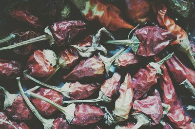 Close-up of red chili peppers