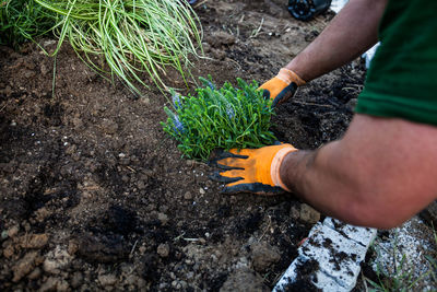 Midsection of woman working in farm