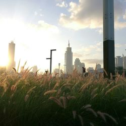 Cityscape against sky