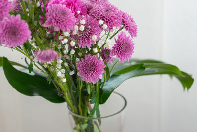 Close-up of pink flowering plant in vase