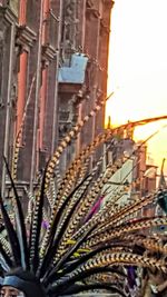 Close-up of market during sunset