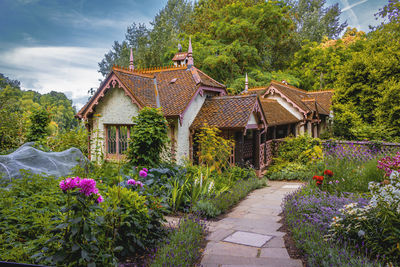 Purple flowering plants by building against sky