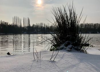 Scenic view of lake against sky during winter