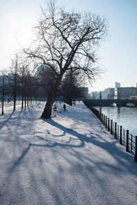 Bare trees on snow covered landscape