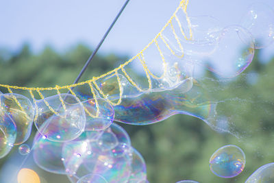 Close-up of bubbles against blurred background