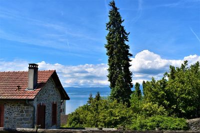 Plants and trees by building against sky