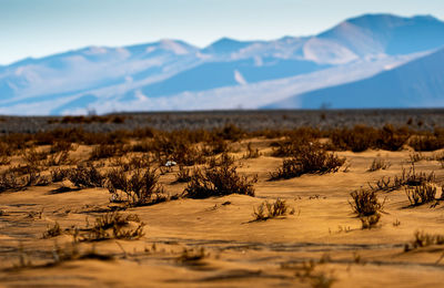 Scenic view of arid landscape against sky