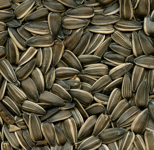 Full frame shot of bread