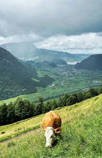 Scenic view of field against rainy sky