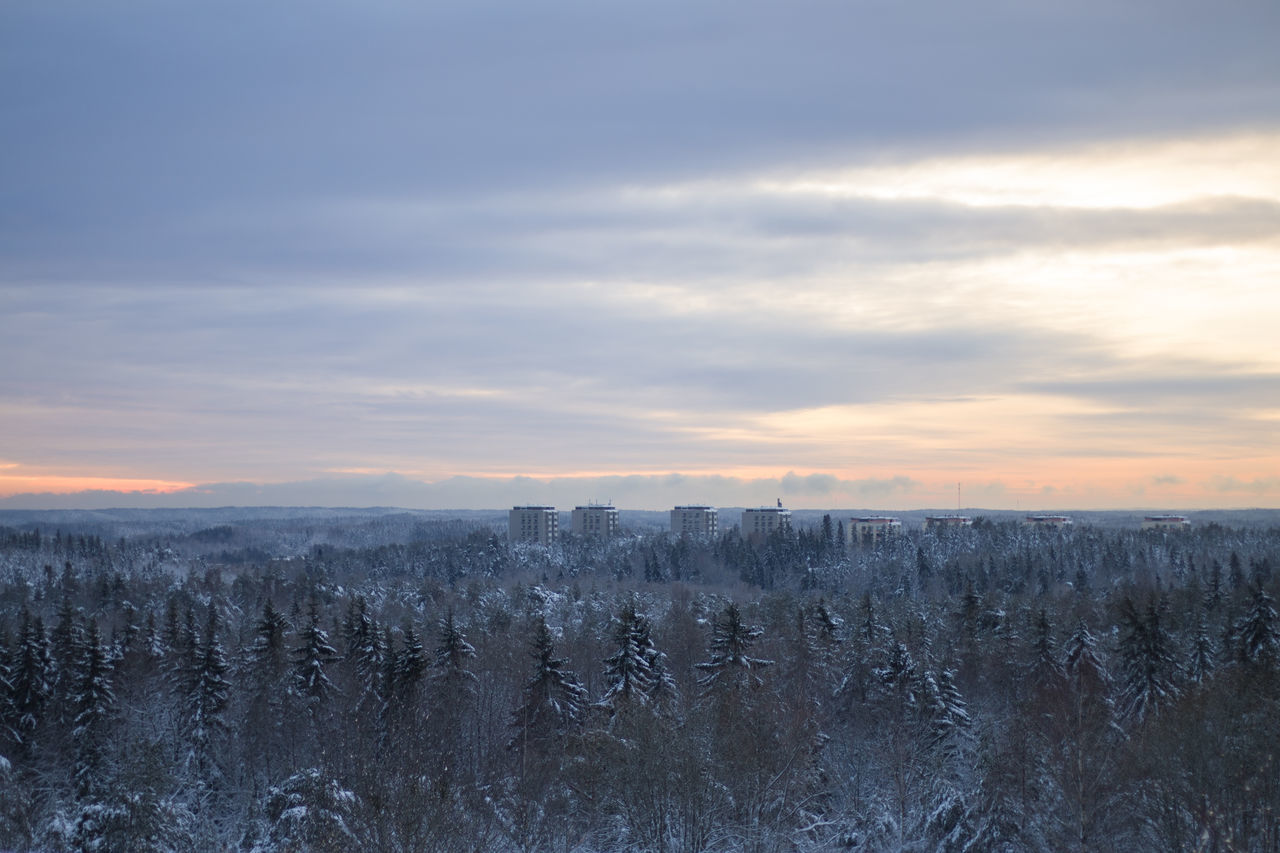 Life in Finland