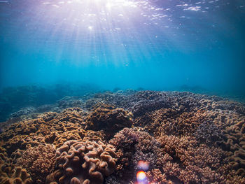 Aerial view of sea underwater