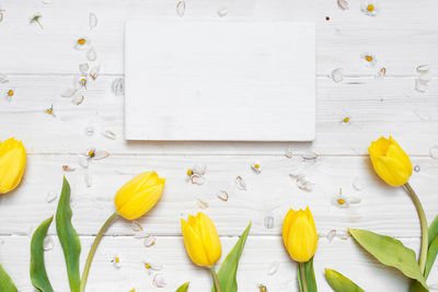 High angle view of white flowers on table