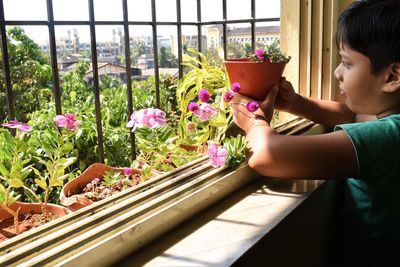 Rear view of boy holding flowers on window sill